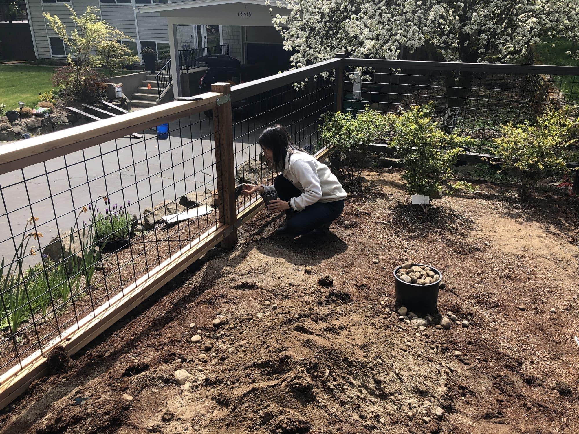 Planting inside the finished enclosure