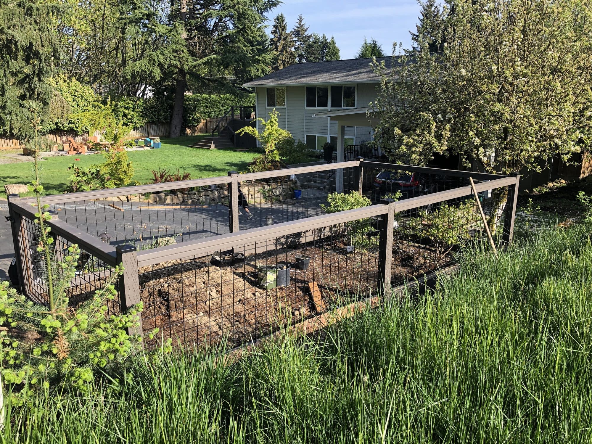 The garden enclosure seen from the driveway