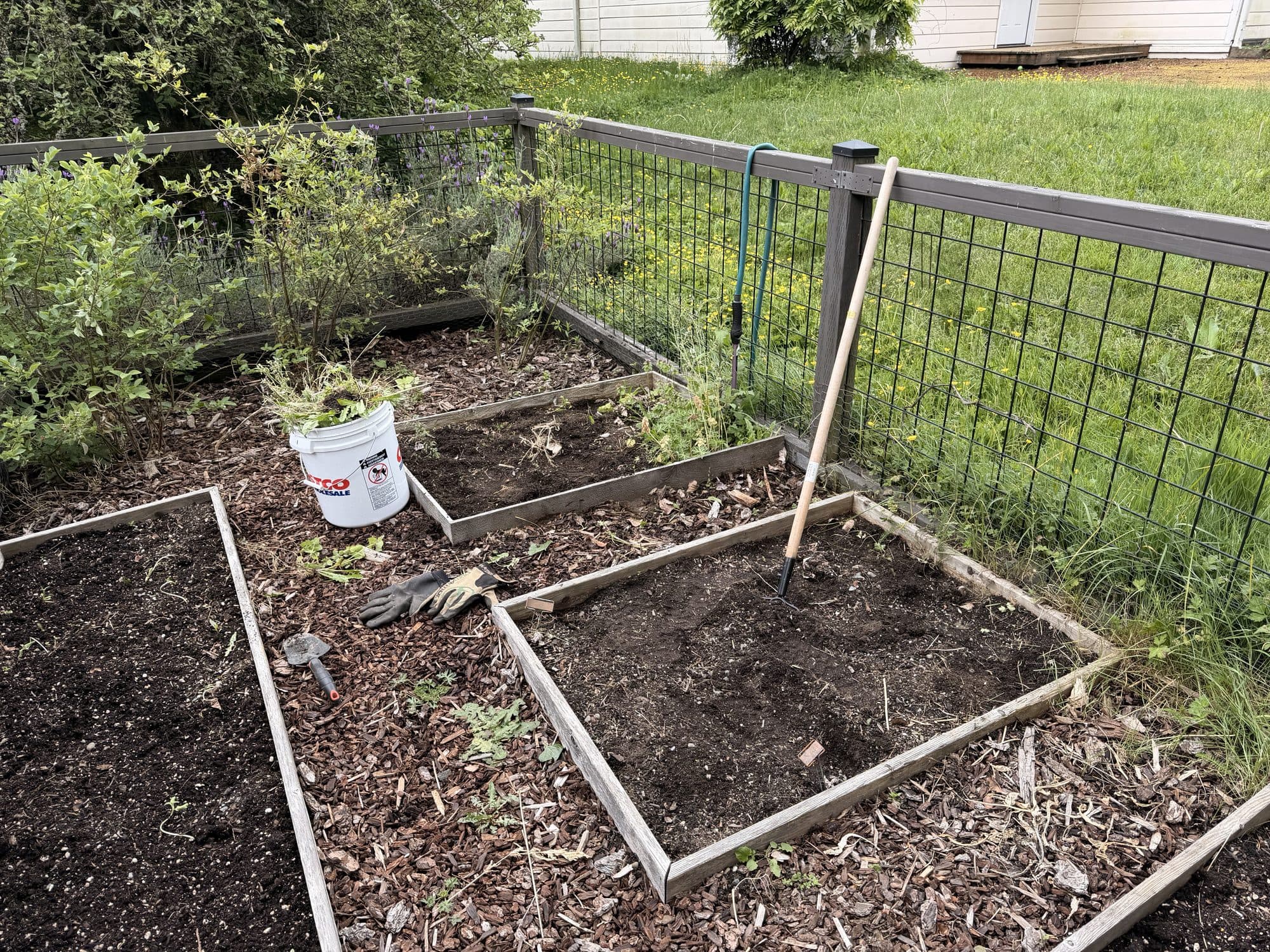 The raised beds turned over and ready for planting