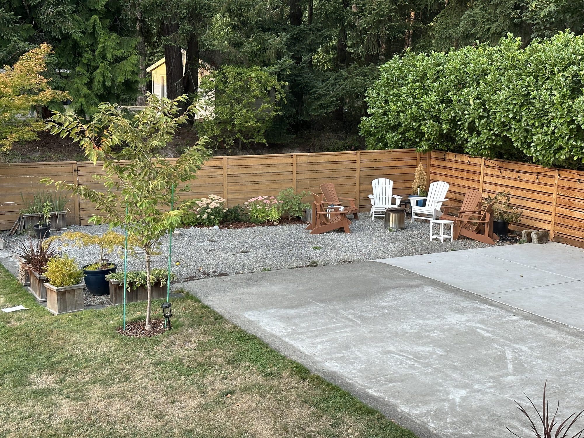 The fence and yard in summer