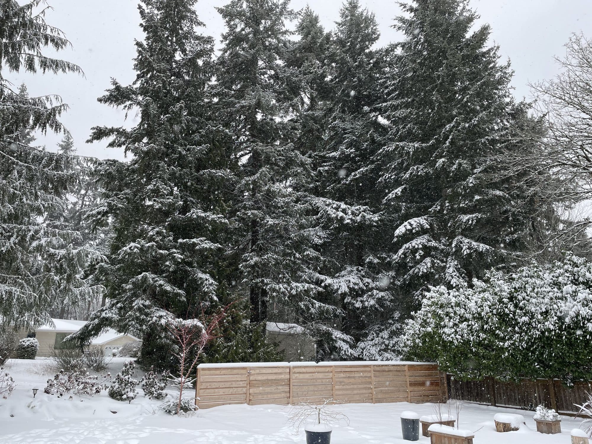 The fence under snow