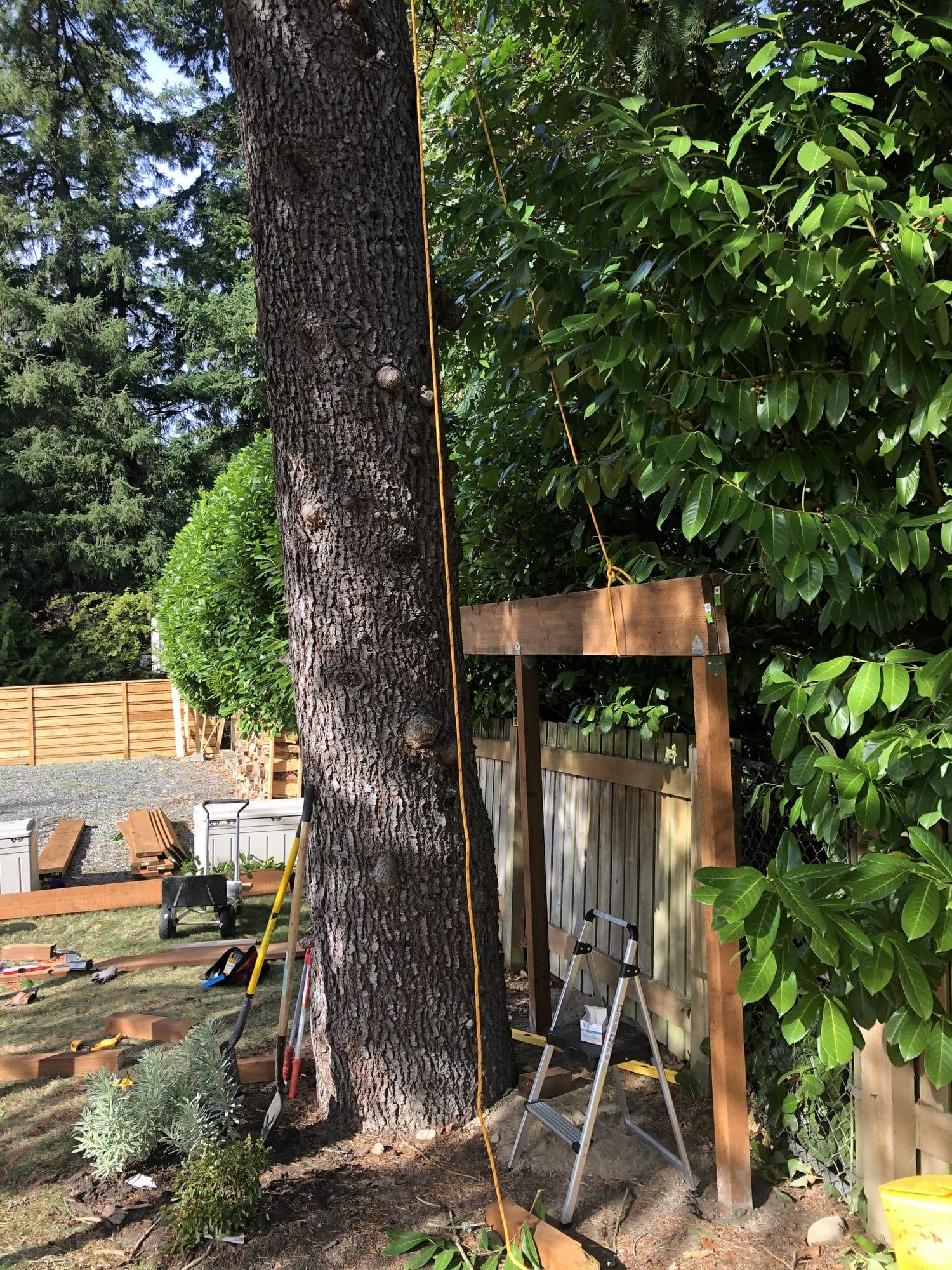 Posts standing around the base of the tree