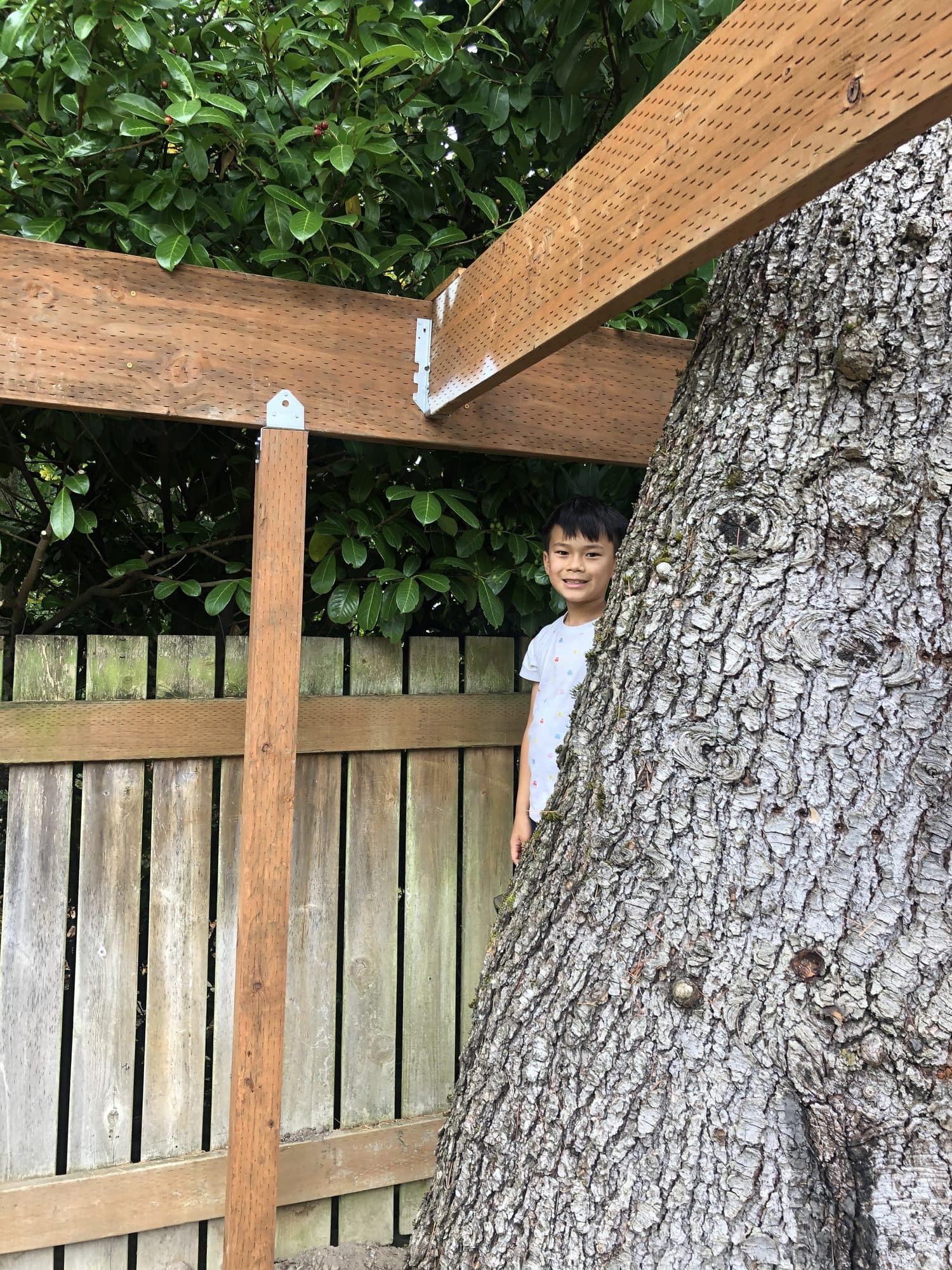 The frame built around the tree trunk