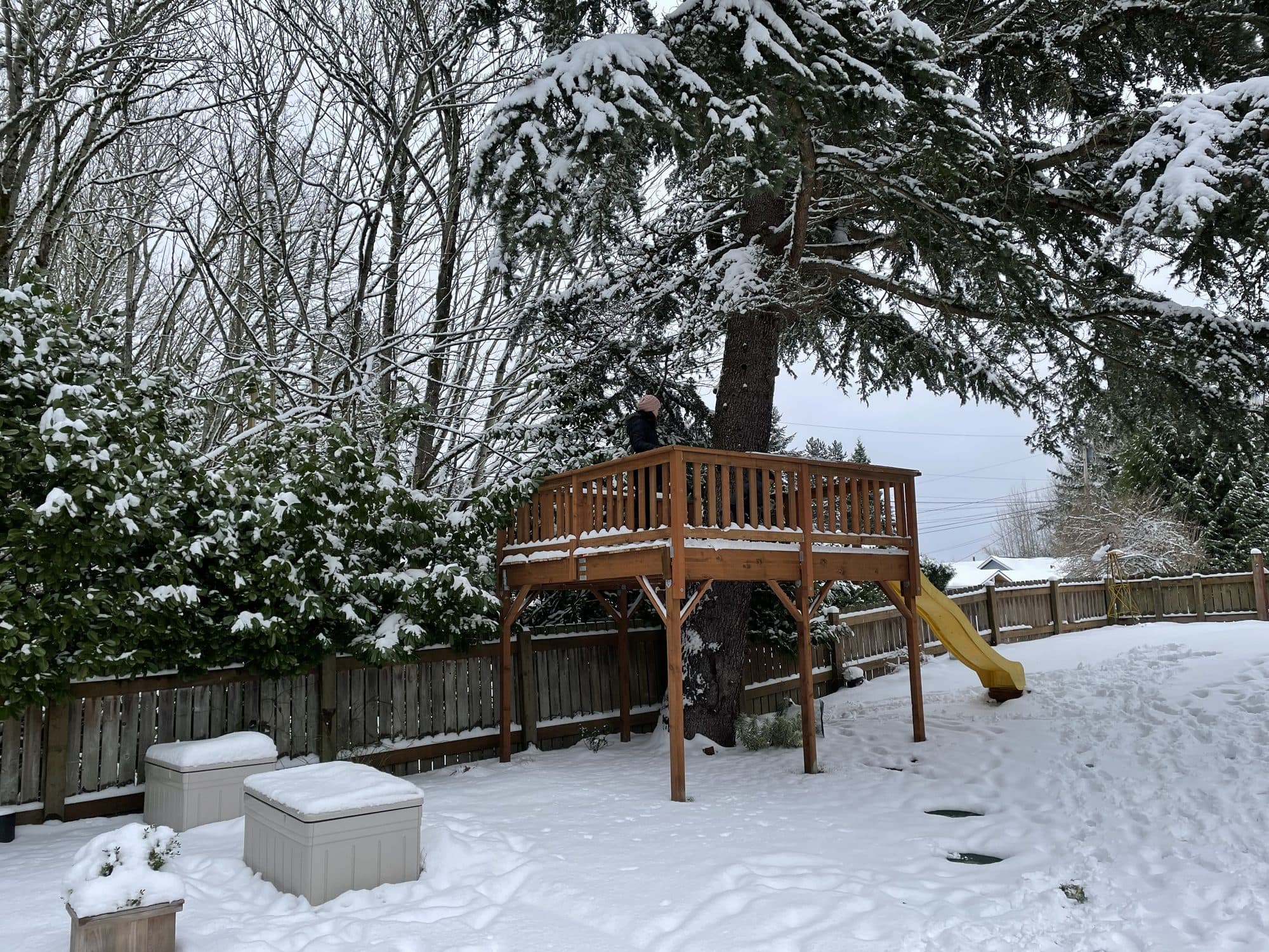 The tree house platform under snow, before the roof went on