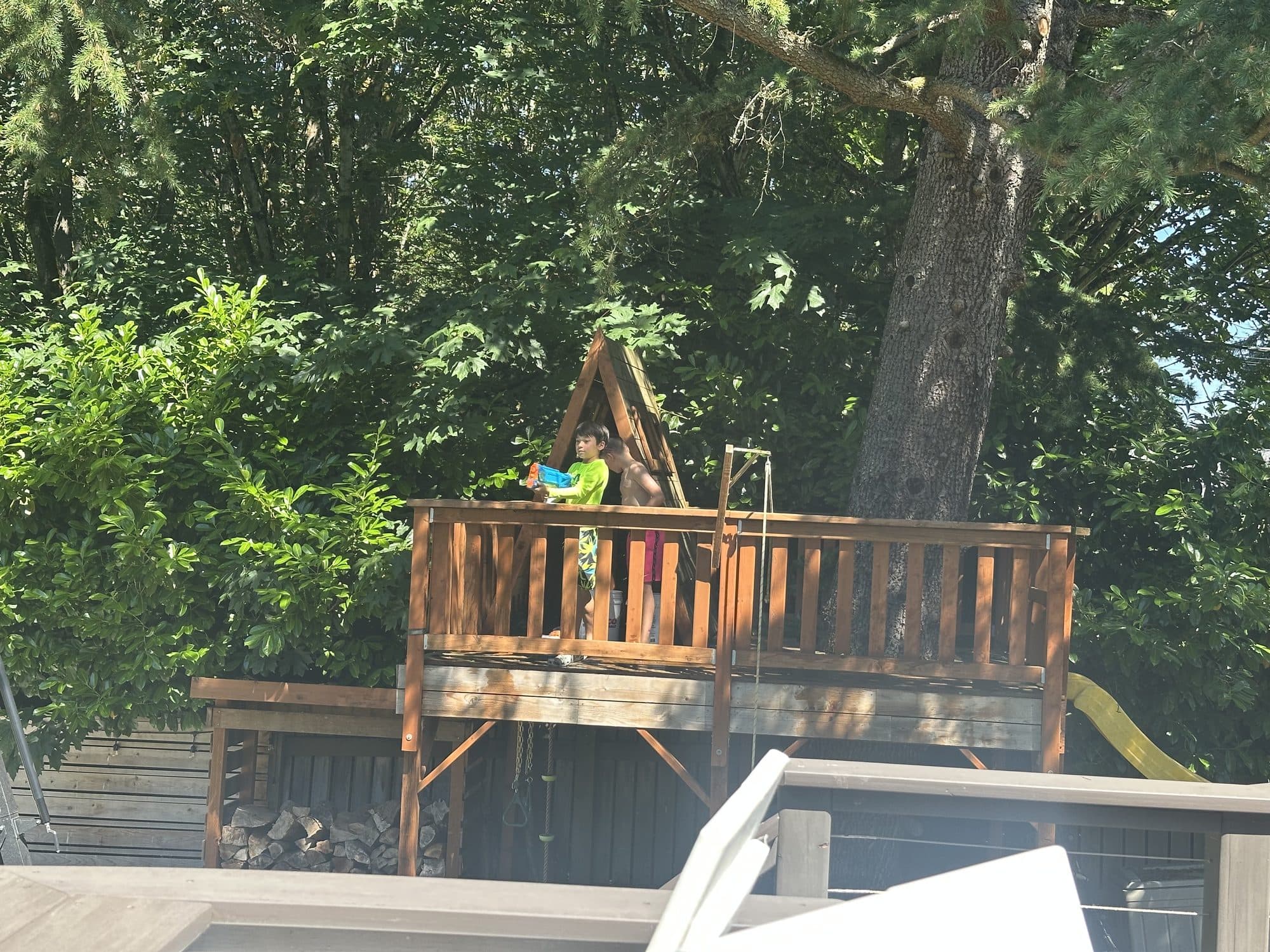 The tree house surrounded by summer greenery