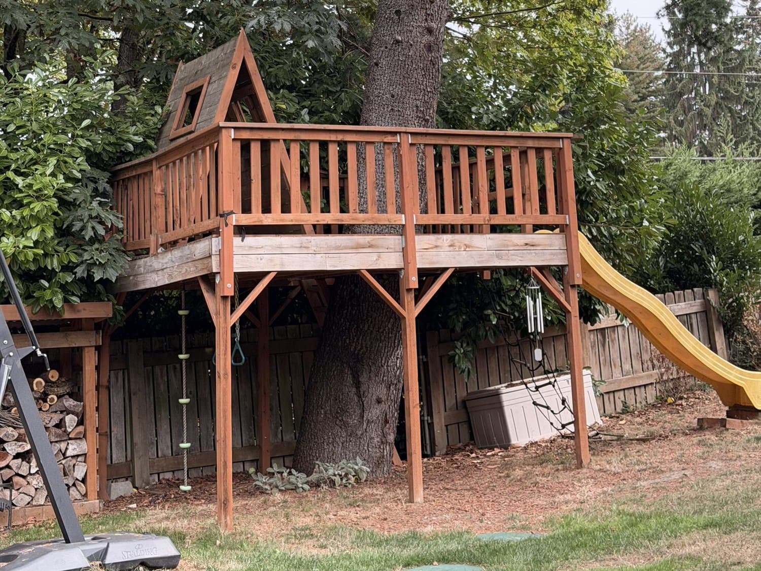 The tree house today, seen from the front yard