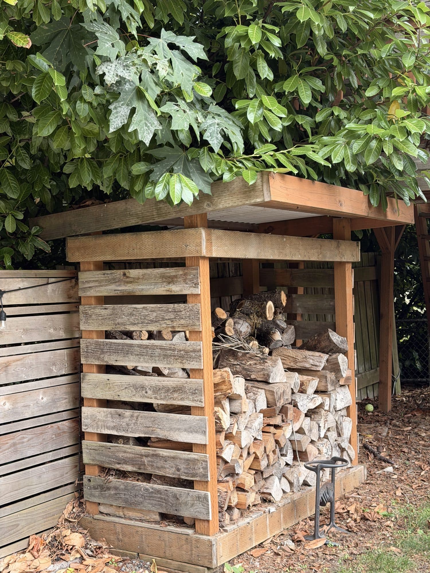 The wood shed today, stacked full of split firewood